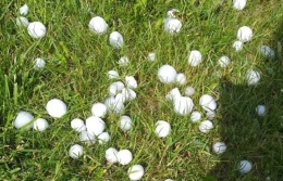 Jakie będą maksymalne sumy ubezpieczeń dla upraw na 2021 r.