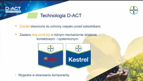 Bayer: D-ACT nowy insektycyd dla rzepaku i ziemniaków