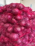 Sprzedam cebulę czerwoną kaliber 5/8 worek 5/10 kg cebula  fazorowana