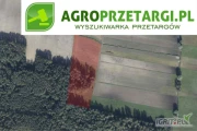 Przetarg na dzierżawę 1,25 ha gruntu rolnego na 3 lata – RV, RVI, ŁV, ŁVI