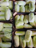 Sprzedam kapustę pekińską, kaliber 0,7 - 2 kg, zdrowia i czysta w środku. Opakowanie karton. Ilości paletowe. Cena 1,8 kg z...