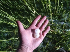 Liczenie strat po gradobiciach - ZDJĘCIA