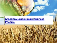 Pięć lat embarga na żywność: TASS podsumowuje