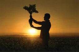 Nowy herbicyd Rinpode™ od Corteva Agriscience