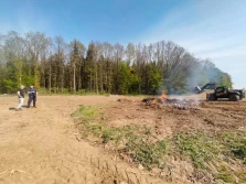 Chciał spalić pozostałości krzaków. Dostał mandat