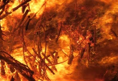 Odpadów budowlanych palić nie wolno, bo...