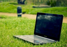 Cyfryzacja w praktyce: dopłaty 2021 - wnioski tylko przez internet