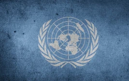 Szczyt żywnościowy ONZ - jakie mogą być konsekwencje dla nas?