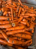 Sprzedam 20 ton odsortów marchwi od mycia oraz 5 ton odsortów buraka.