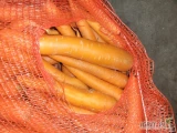 Sprzedam tirowe ilości marchwi mytej worek 10 kg szyty kaliber 2-4 wychlodzona współpraca całoroczna 