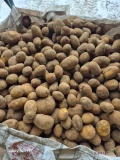 Sprzedam ziemniaki odmiana melody kaliber 5+ opakowanie big bag, luz lub worek wiązany 10-15kg 