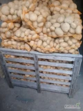 Sprzedam ziemniaki jedalne Jurek soraja melody tajfun worek 15 duże i mniejsze ilości możliwość załadunku na paletach