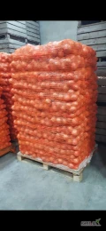 Witam sprzedam ładną, zdrową cebule o kalibrażu 7-9, ładna łuska. Cebula pakowana w worki 15kg