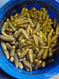 Mam do sprzedania ponad 15 ton tegorocznie kiszone ogórki metodą tradycyjną sól, ziele , liście , koper, czosnek . kaliber  4-11 cm 
