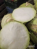 Sprzedam kalarepe kossak kaliber 1-3kg