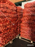 Sprzedam cebulę żółtą z ładną mocną łuską . Kaliber 45-70. Worek szyty 10kg lub 15kg.
