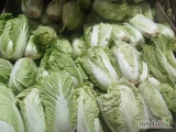 Witam.Mam do sprzedania drobną kapustę pekińską tel. 533739026
