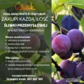 Kupię wegierke zwykłą do mrożenia, z ogonkiem lub bez, w skrzynkach lub kistenach. Przy większych ilościach zapewniam odbiór. Tel....