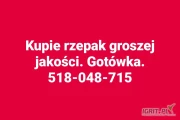 Kupie rzepak groszej jakości. Gotówka. Odbiór z gospodarstwa. Tel 518048715