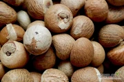 We sell dried betel nuts/areca nuts