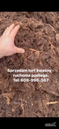 Sprzedam torf kwaśny pod uprawę Borówki. Ruchoma podłoga, torf przebadany - analiza w zdjęciach. 