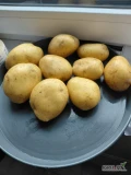 Sprzedam Ziemniaki żółte Soraya 4,5+ lub 5+ 