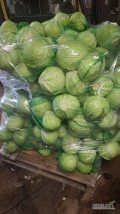 Sprzedam kapuste biala jakość marketowa kaliber 1-3kg czysta bez robaka pakowana w worek lub karton box ilości mniejsze i większe 