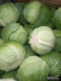 Witam mam do sprzedania kapustę białą płaską idealna na gołąbki ma miękkie liście odmiana oraz białą zwykłą odmian typu agresor...