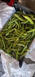 Sprzedam młody bób, łuskany na zamówienie. Dostępne ilości hurtowe.