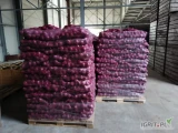 Sprzedam cebule czerwona 70+, worek 10kg, 24 tony