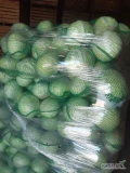 Sprzedam kapustę białą 1-4 kg