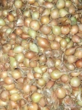 Sprzedam cebulę drobna 2-4.5 worek 15 kg lub big bag około 24 ton po koszu bez kamieni 