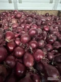 Sprzedam cebulę czerwoną kaliber 5-8 Cebula zdrowa fazorowana Worek 5/10 kg bigbag 