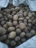 Sprzedam ziemniaki Riviera, Catania, Ignacy kal. 3-5. Cena do uzgodnienia oraz opakowanie. 