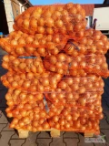 Sprzedam ładną zdrową cebulę w złotej łusce, kaliber 5+. Zapakowana w worki 10 lub 15 kg. Ilości od paletowych po całosamochodowe....