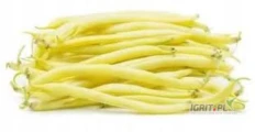 Fasolka szpargowa sprzedam świezy towar zrywany w worki po 5 kg na zamowienie.  Można ustalić inną formę pakowania ale trzeba to...