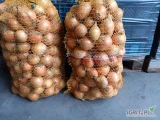 Sprzedam cebule 5+ ilość 6 ton mogę naszykowac w worek lub w big bagi.zapraszam