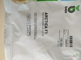 ARCTICA F1(j. 100 000n , kal.1.4-1.6 , pak.02/2026) firmy Bejo oferuje GEPWEG dystrybutor nasion. Dostawa gratis. Płatność przy odbiorze.