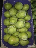 Sprzedam gruszkę lukasowke za wagę w skrzyni lub na gotowo łuszczka 12kg ilość ok 40 ton.