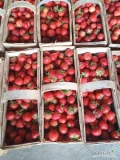 Sprzedam truskawki rumba 117 łubianek 21 zł za koszyk