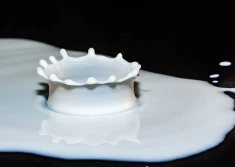 PIM: braki w dostawie prądu i gazu spowodują miliardowe straty