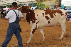Gratka dla hodowców i miłośników zwierząt