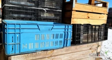 Sprzedam klatki niebieskie 20zl oraz czarne klatki  holenderskie 14zl ... wymiary 60/40/22. 