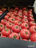 Sprzedam - POMIDOR MALINOWY importowany. Dostępny w PL.  Ilości paletowe i całosamochodowe. 