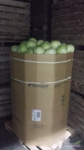 Sprzedam kapustę białą z chłodni  kaliber 1-4kg opakowanie karton ilości tirowe oraz kapusta czerwona kaliber 1-3kg 