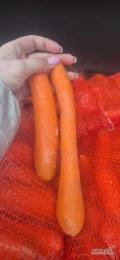 Sprzedam marchew myta kaliber 2-4 jakość marketowa opakowanie bigbag lub worek 10kg ilości calosamochodowe możliwy transport