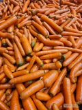 Sprzedam odsorty marchwi. Towar umyty wyszczotkowany. Dostępna duża ilość.
