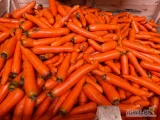 Sprzedam grubą marchew. Dostępne 10 ton. Cena : luz - 060, worek 10 kg. - 0,70. Zapraszam 