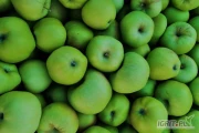 Kupię jabłko odmiany BOIKEN w konwencji. Ilości samochodowe. Przedpłata, odbiór jak najszybciej. 