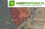 Przetarg na dzierżawę 51,18 ha gruntu rolnego na 9 lat – RIIIb, RIVa, RIVb, RV, RVI, ŁIV, ŁV, ŁVI, PsIV, PsV, PsVI